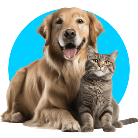Pets